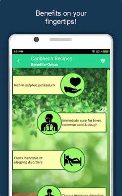 Caribbean Recipe Jamaican Food android App screenshot 0