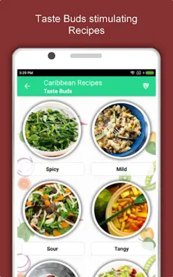 Caribbean Recipe Jamaican Food android App screenshot 4