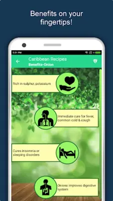 Caribbean Recipe Jamaican Food android App screenshot 8